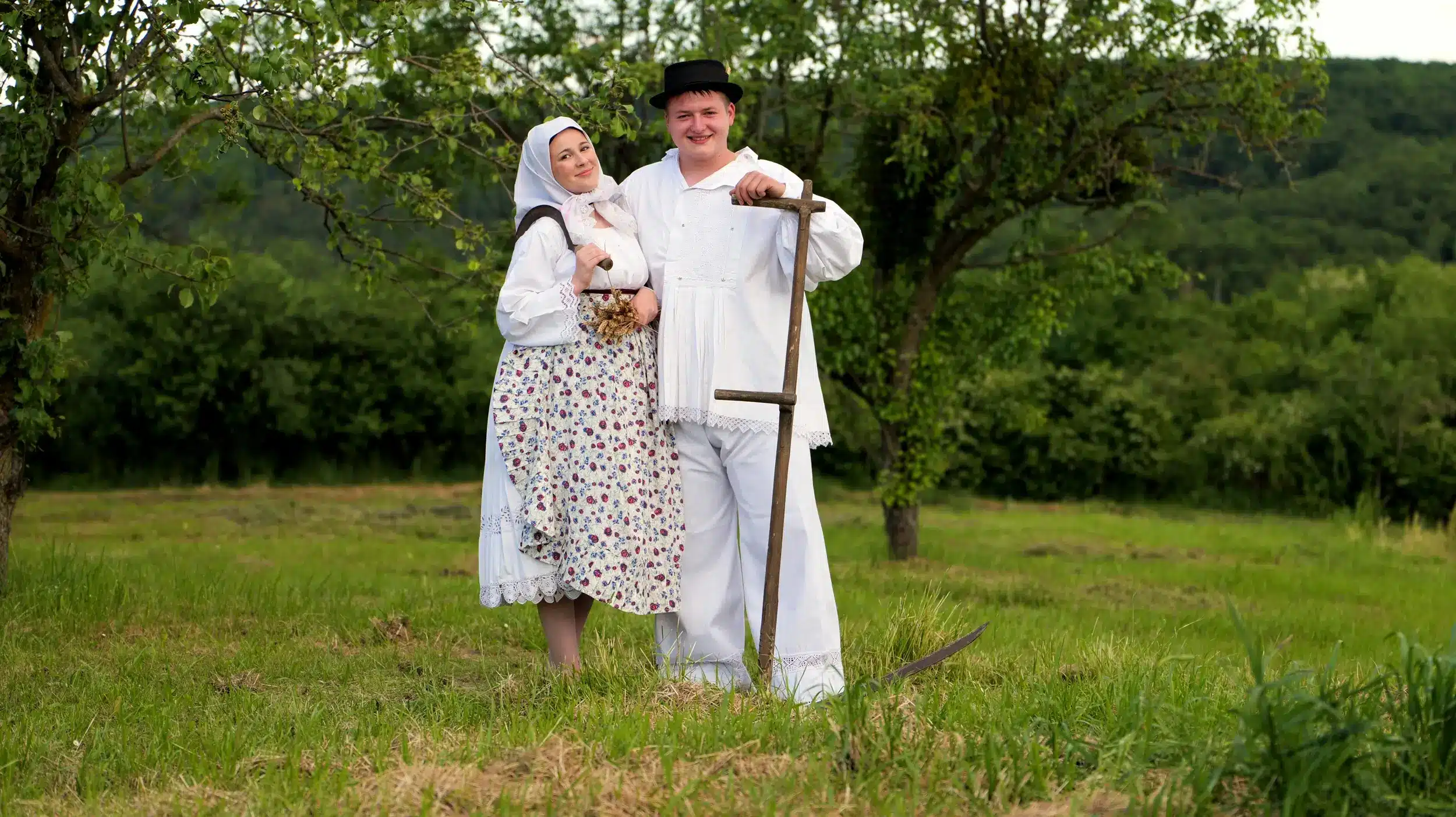 žetva kud odvorci